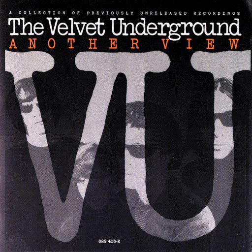 velvet underground another view 