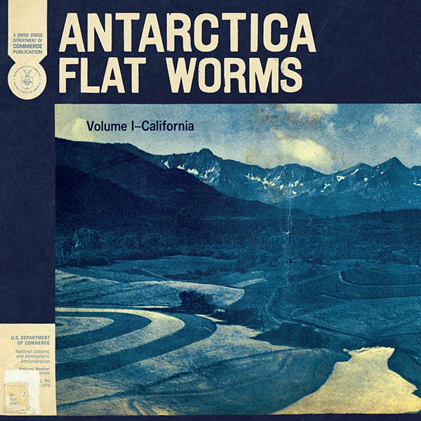 flat worms antarctica 2020