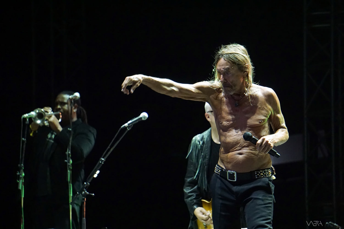 Νέος δίσκος από τον Iggy Pop τον Σεπτέμβριο!