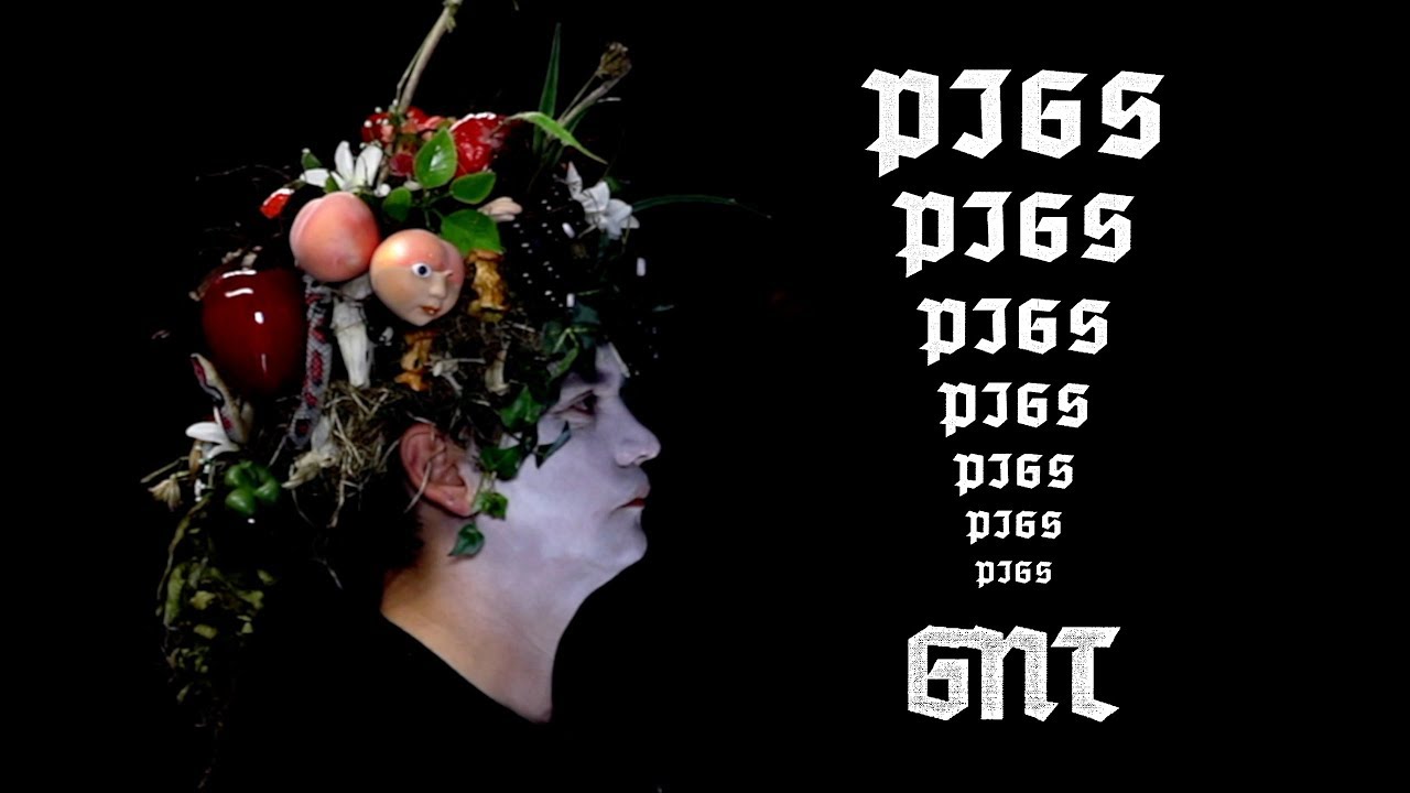 Pigs Pigs Pigs Pigs Pigs Pigs Pigs - GNT